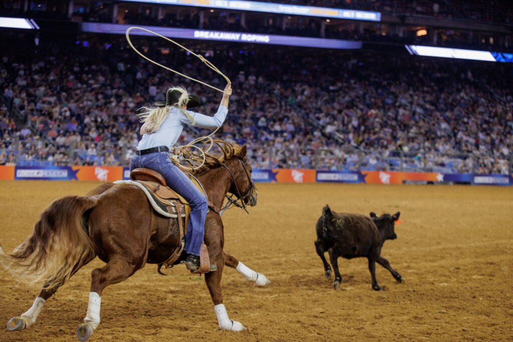 Houston Rodeo