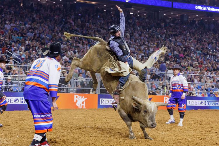 Houston Rodeo