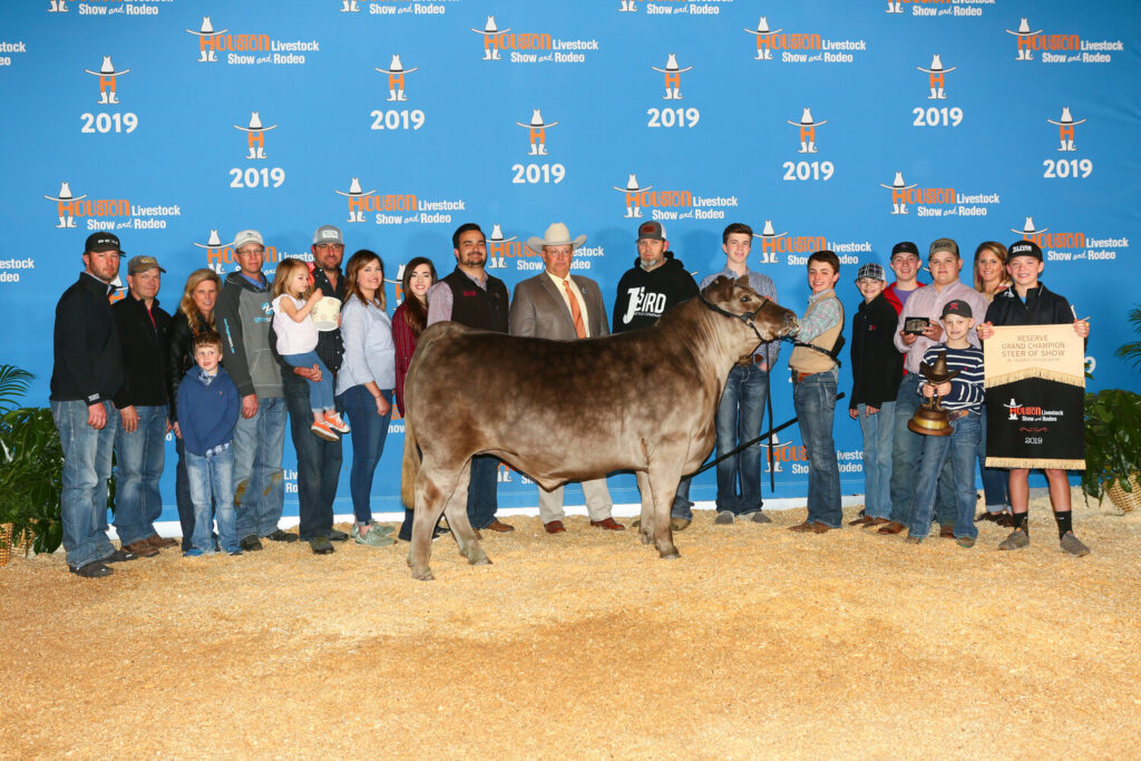 Livestock Exhibitions