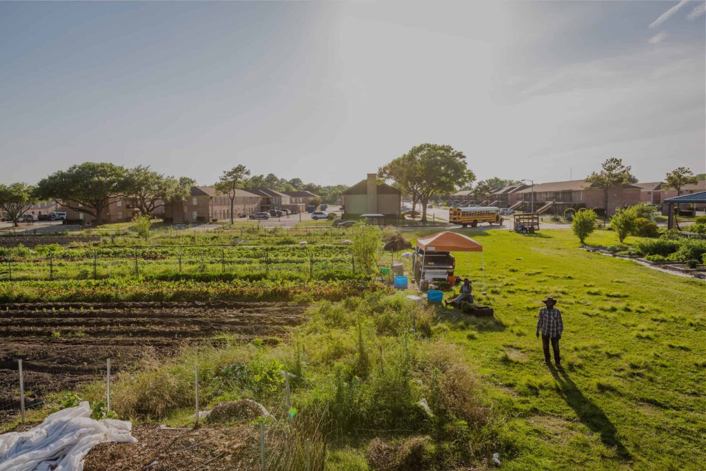 Agriculture and Land Development: The Role of Farming Families