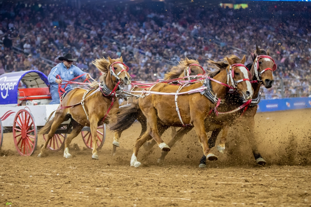 Houston Livestock Show and Rodeo
