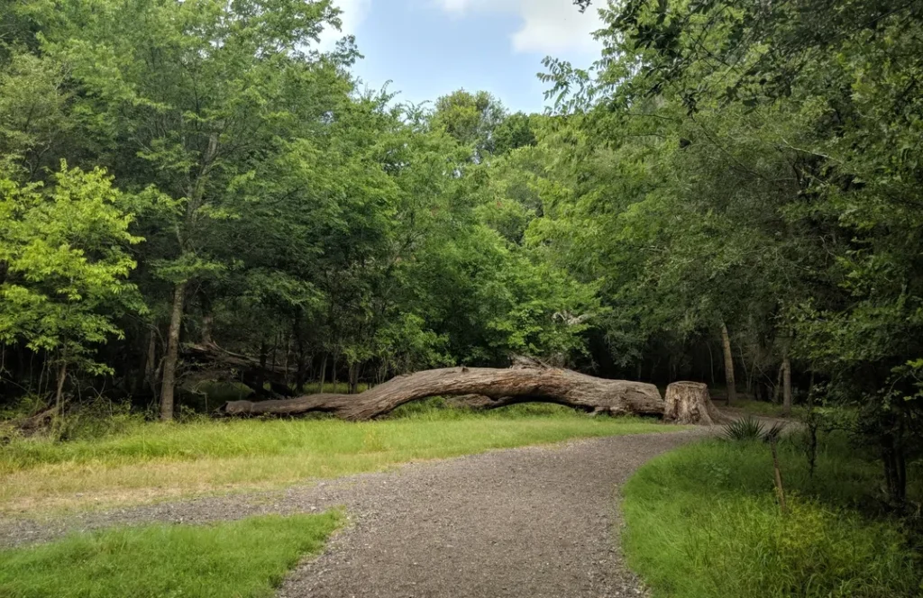 Brazos Bend State Park