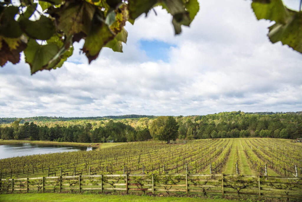 Hill Country Wine Trail