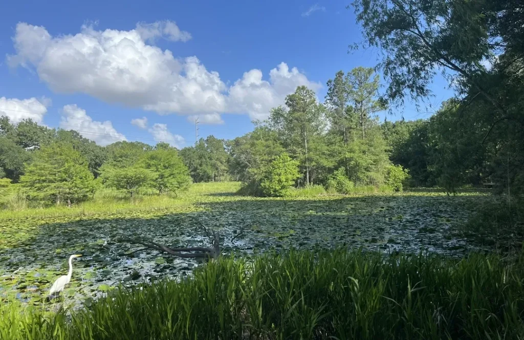 Houston Arboretum & Nature Center