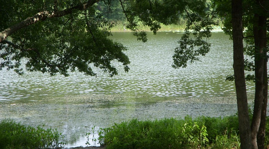 Huntsville State Park