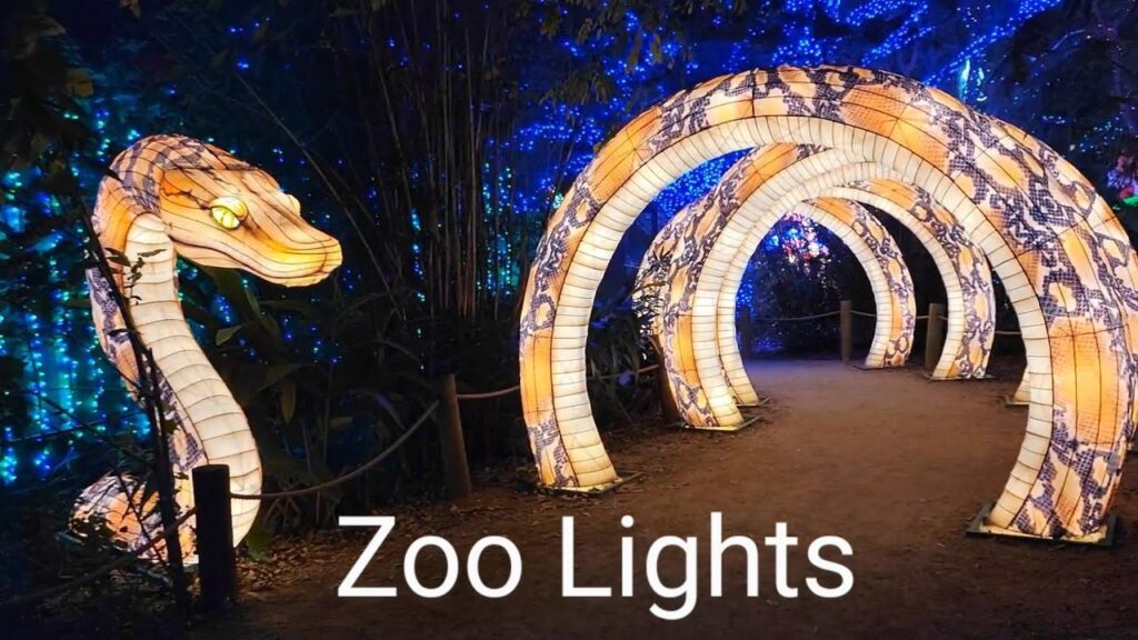 Zoo Lights at Houston Zoo